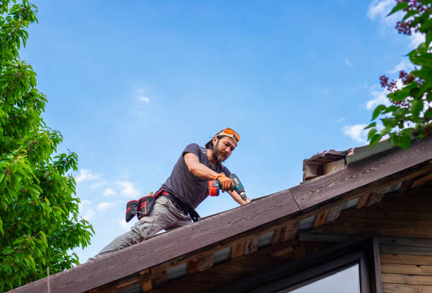 Best Green or Eco-Friendly Roofing Solutions  in Lapwai, ID
